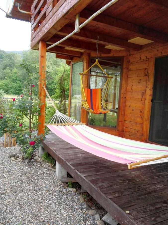 Willa The Wooden House Moldoveneşti Zewnętrze zdjęcie