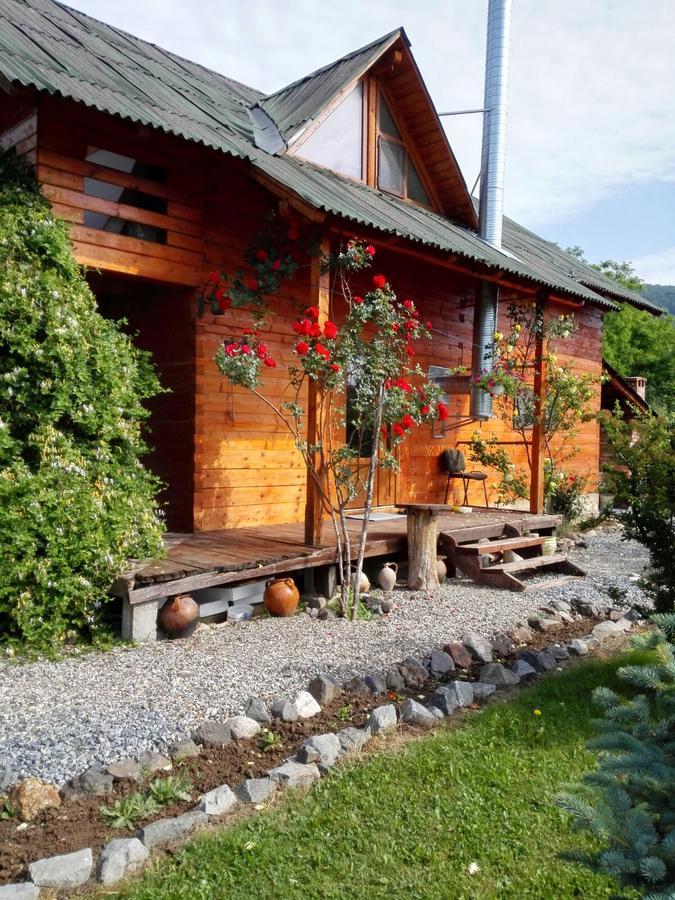Willa The Wooden House Moldoveneşti Zewnętrze zdjęcie